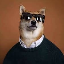 Dev Rao avatar